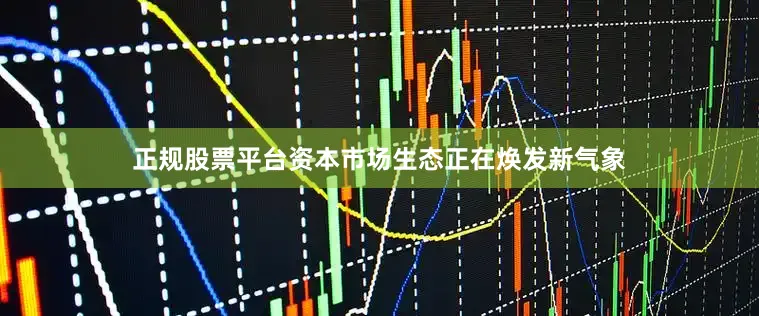 正规股票平台资本市场生态正在焕发新气象