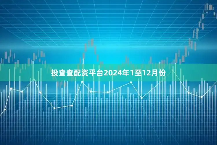 投查查配资平台2024年1至12月份