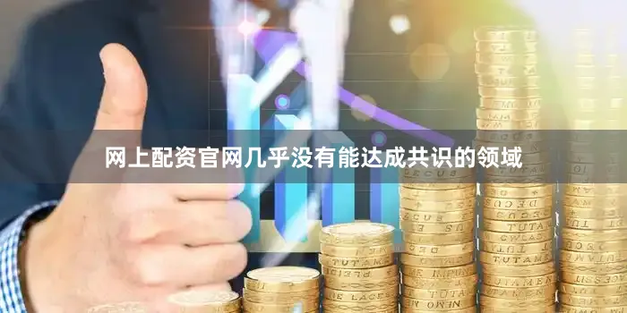网上配资官网几乎没有能达成共识的领域