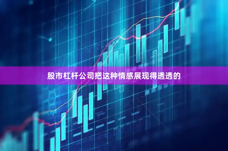 股市杠杆公司把这种情感展现得透透的