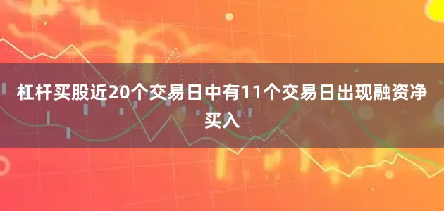杠杆买股近20个交易日中有11个交易日出现融资净买入