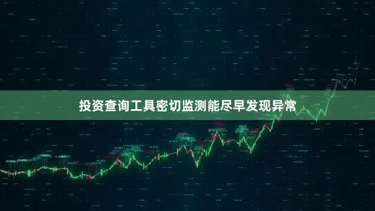 投资查询工具密切监测能尽早发现异常