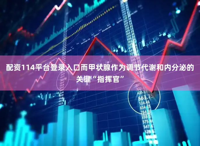 配资114平台登录入口而甲状腺作为调节代谢和内分泌的关键“指挥官”